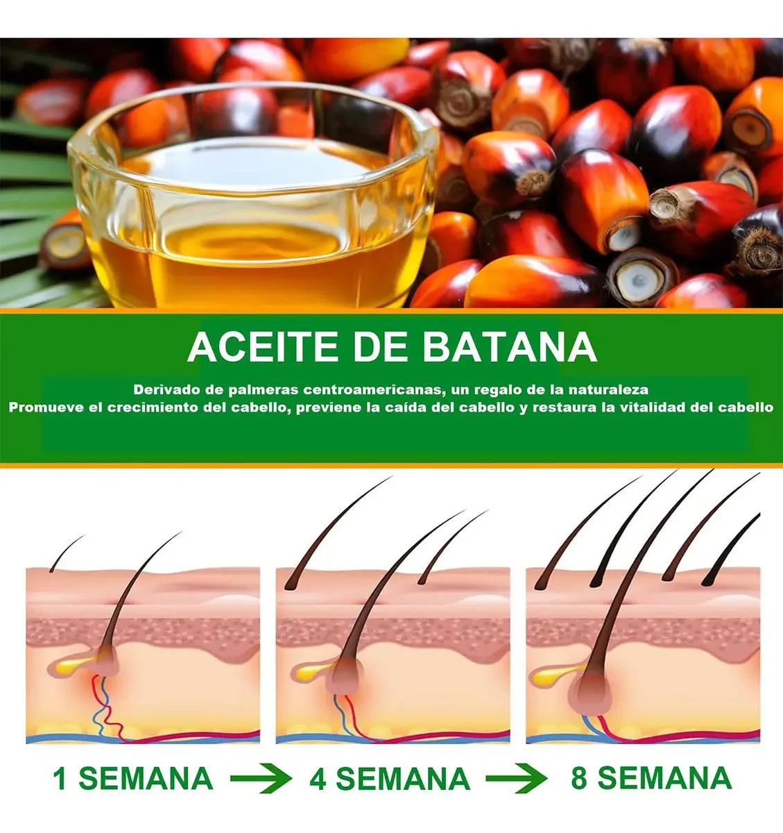 Cómo Actúa en